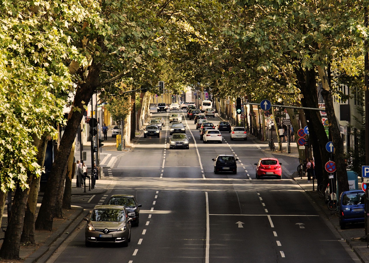 Portfolio Image